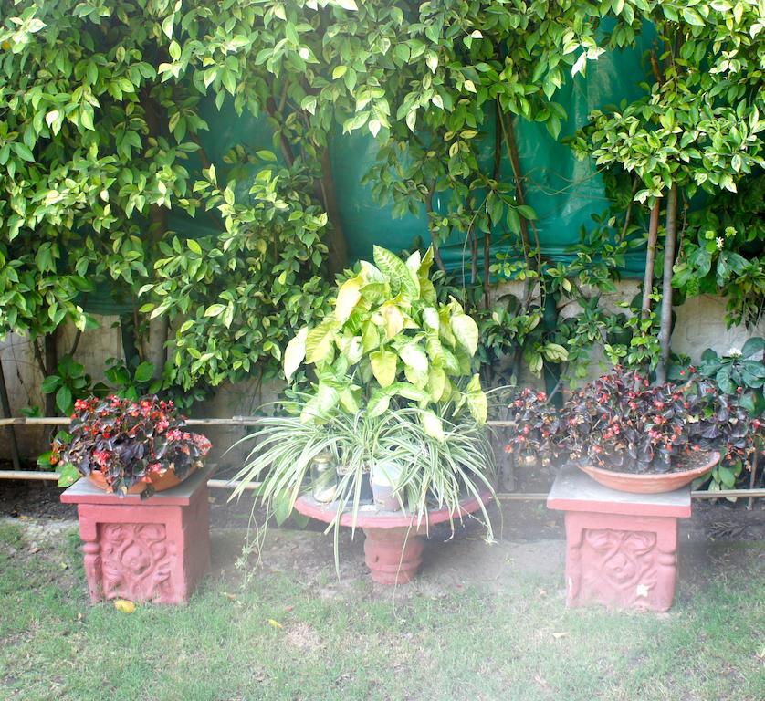 Sirohi House Nueva Delhi Exterior foto
