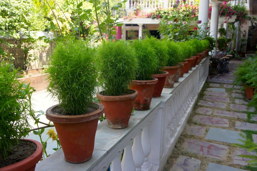 Sirohi House Nueva Delhi Exterior foto
